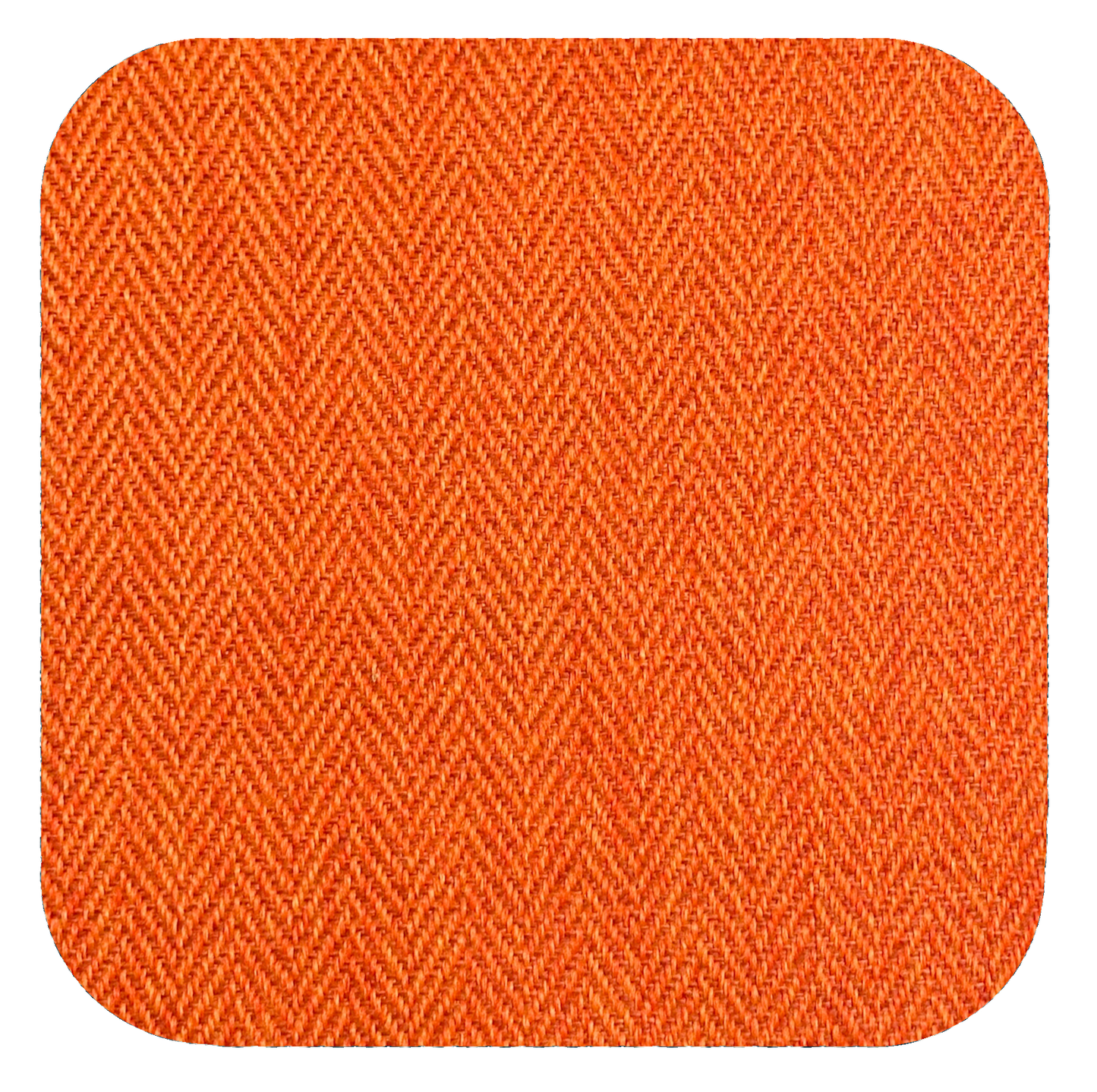 Dragon Vibes - Wicked