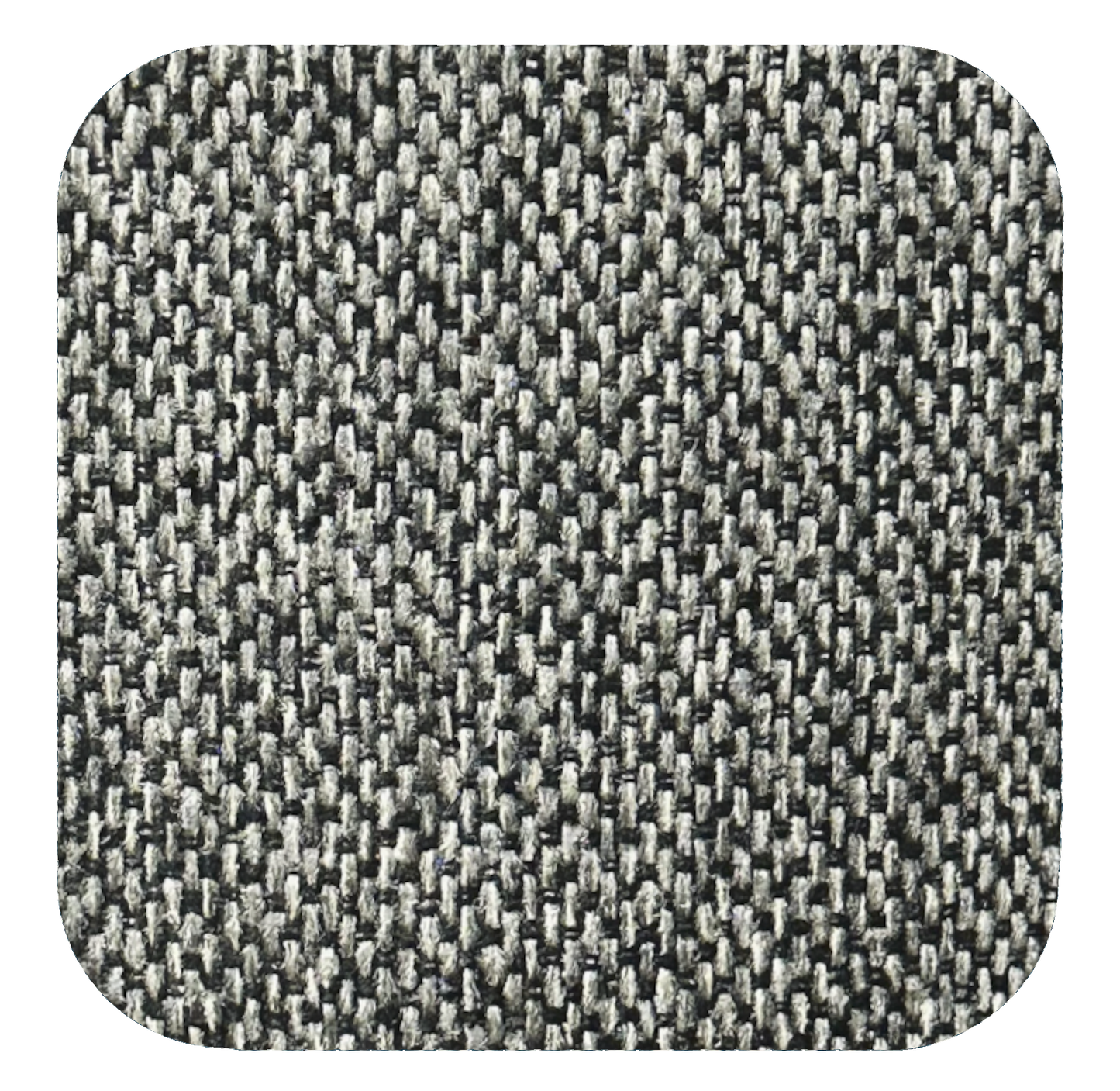 Deer in headlights - Lunatic